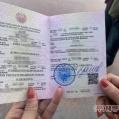 혼인신고/비자발급